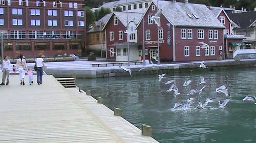 09 Jul 2003 · South West Norway: Day 6   Hellandsbygd to Odda guest house